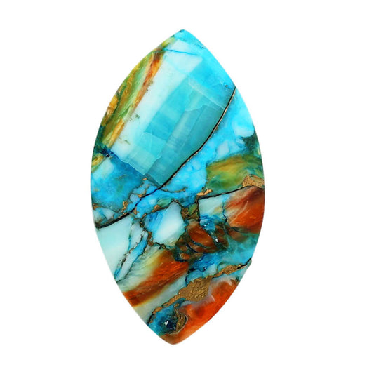 Spiny Oyster Turquoise 16x29.35x4 mm Marquise Shape Polished Gemstone LS87-06799
