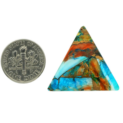 Spiny Oyster Turquoise 25x26x4 mm Fancy Shape Polished Gemstone LS87-06803