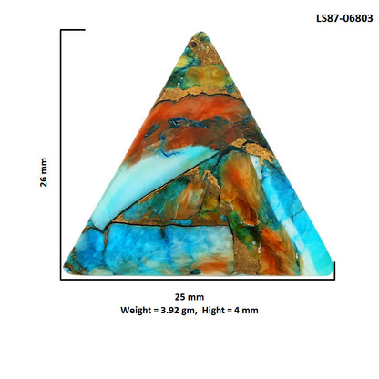 Spiny Oyster Turquoise 25x26x4 mm Fancy Shape Polished Gemstone LS87-06803