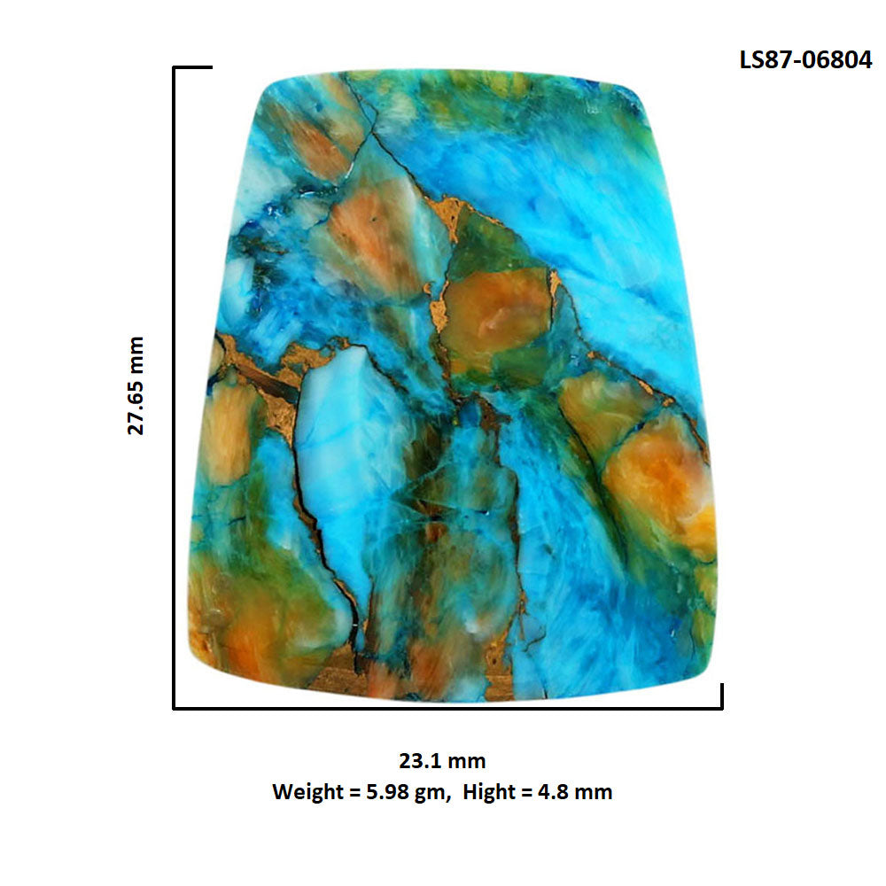 Spiny Oyster Turquoise 23.1x27.65x4.8 mm Fancy Shape Polished Gemstone LS87-06804