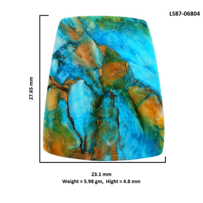 Spiny Oyster Turquoise 23.1x27.65x4.8 mm Fancy Shape Polished Gemstone LS87-06804