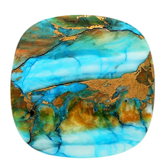 Spiny Oyster Turquoise 24.5x24.8x5 mm Cushion Shape Polished Gemstone LS87-06806