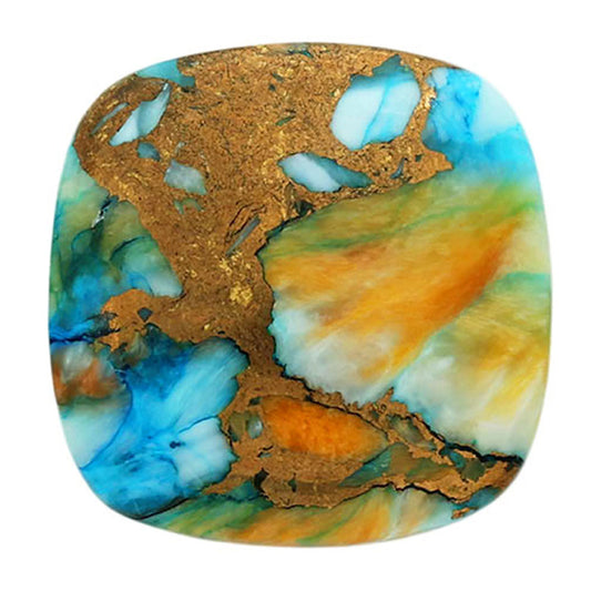 Spiny Oyster Turquoise 20.7x20.7x6 mm Cushion Shape Polished Gemstone LS87-06807