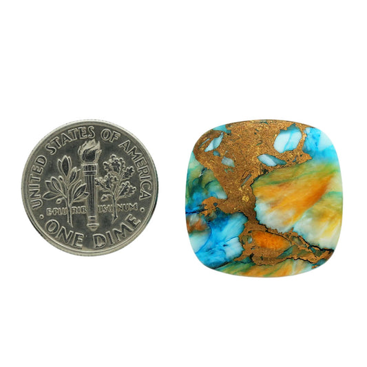 Spiny Oyster Turquoise 20.7x20.7x6 mm Cushion Shape Polished Gemstone LS87-06807