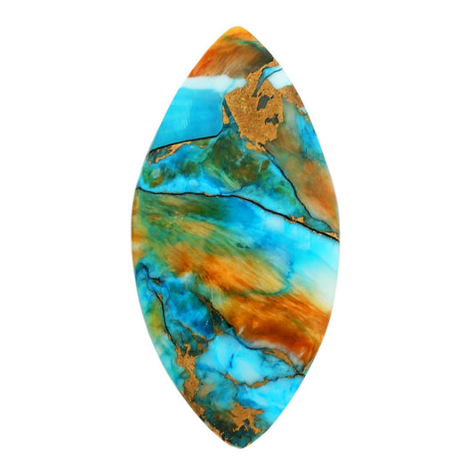 Spiny Oyster Turquoise 17.3x34.6x3.5 mm Marquise Shape Polished Gemstone LS87-06811