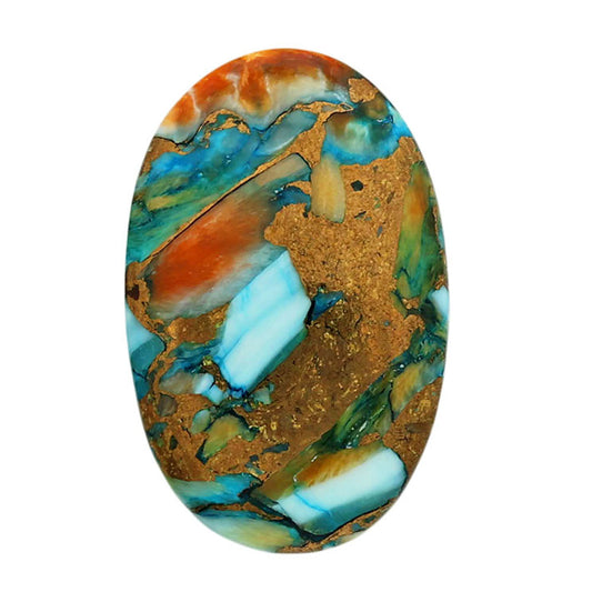 Spiny Oyster Turquoise 17x26x5 mm Oval Shape Polished Gemstone LS87-06813