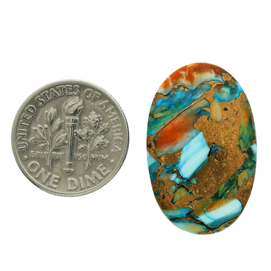 Spiny Oyster Turquoise 17x26x5 mm Oval Shape Polished Gemstone LS87-06813