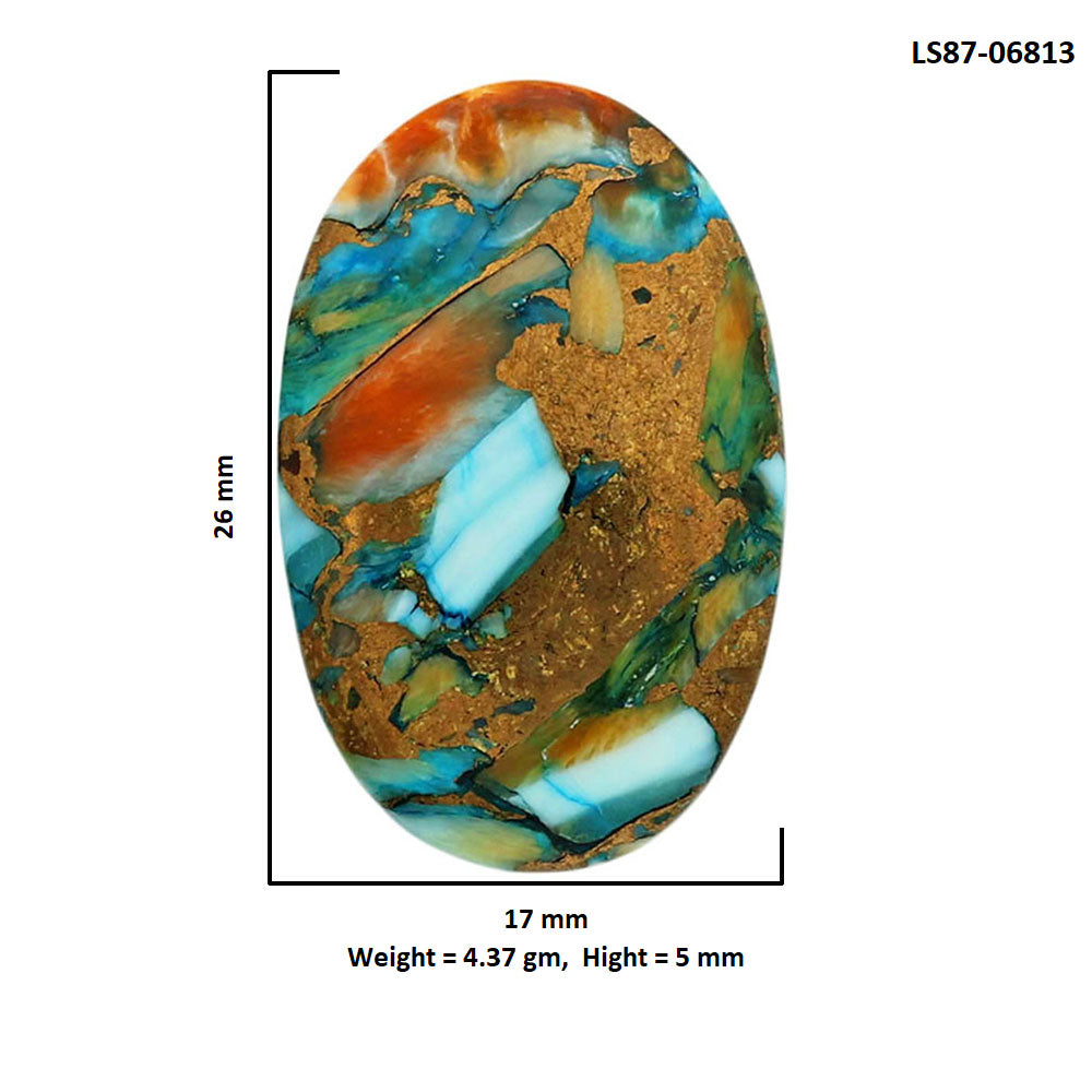 Spiny Oyster Turquoise 17x26x5 mm Oval Shape Polished Gemstone LS87-06813