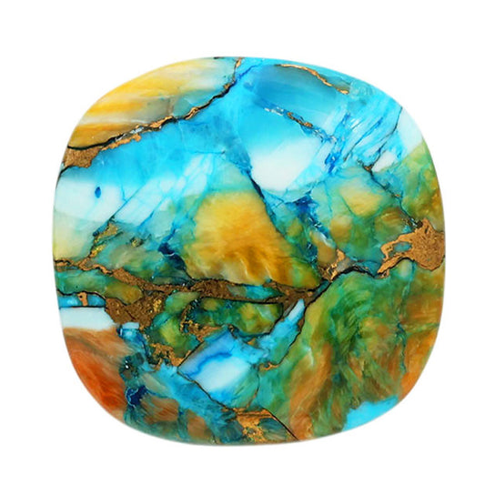 Spiny Oyster Turquoise 24.7x24.9x5 mm Cushion Shape Polished Gemstone LS87-06815