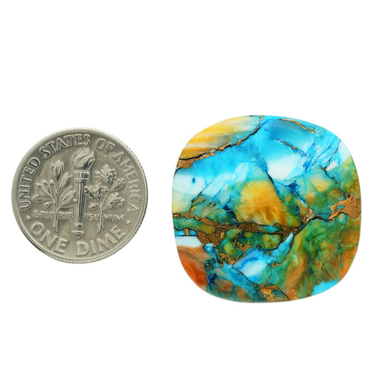 Spiny Oyster Turquoise 24.7x24.9x5 mm Cushion Shape Polished Gemstone LS87-06815