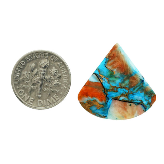 Spiny Oyster Turquoise 23.2x23.4x3.5 mm Fancy Shape Polished Gemstone LS87-06819