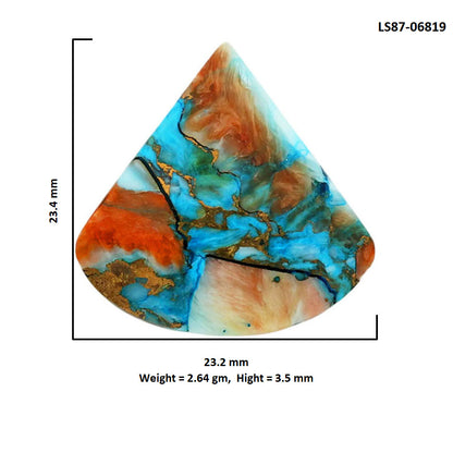 Spiny Oyster Turquoise 23.2x23.4x3.5 mm Fancy Shape Polished Gemstone LS87-06819