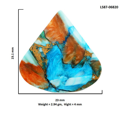 Spiny Oyster Turquoise 23x23.1x4 mm Heart Shape Polished Gemstone LS87-06820