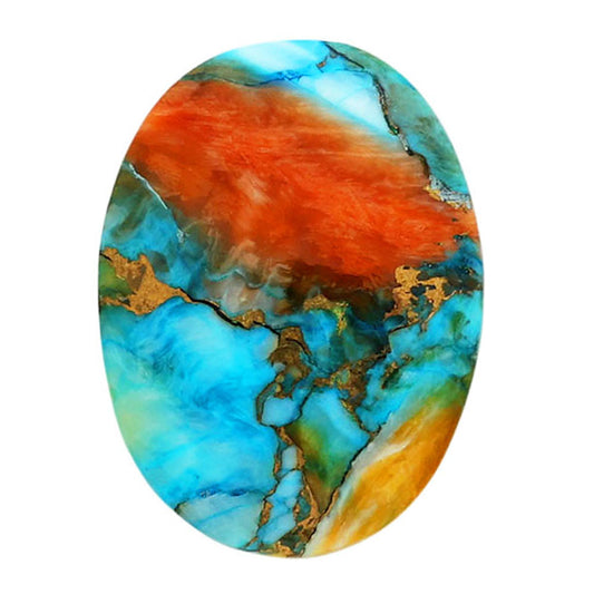 Spiny Oyster Turquoise 17.1x22.8x4.5 mm Oval Shape Polished Gemstone LS87-06822