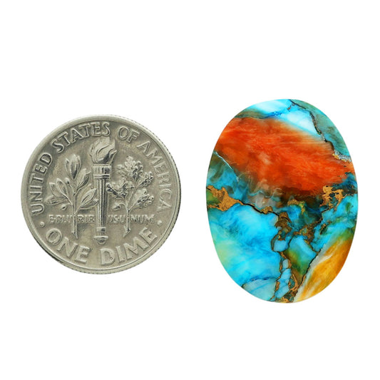 Spiny Oyster Turquoise 17.1x22.8x4.5 mm Oval Shape Polished Gemstone LS87-06822