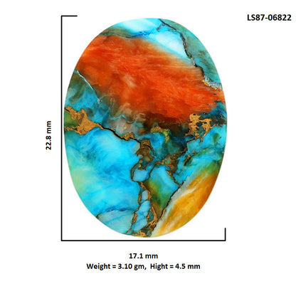 Spiny Oyster Turquoise 17.1x22.8x4.5 mm Oval Shape Polished Gemstone LS87-06822
