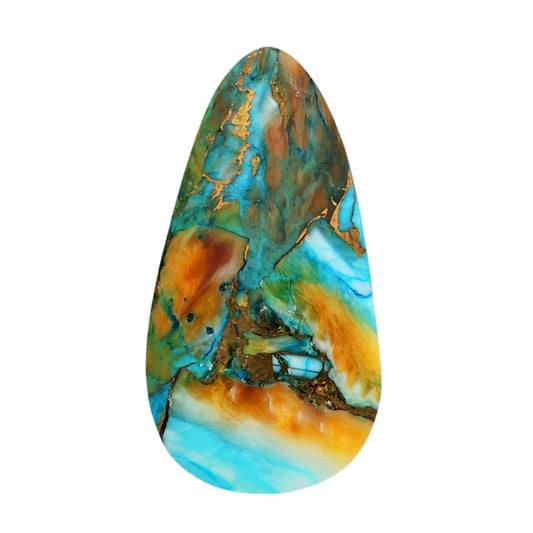 Spiny Oyster Turquoise 16.5x31.2x4.5 mm Fancy Shape Polished Gemstone LS87-06824
