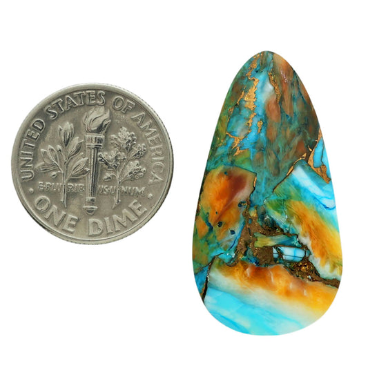 Spiny Oyster Turquoise 16.5x31.2x4.5 mm Fancy Shape Polished Gemstone LS87-06824