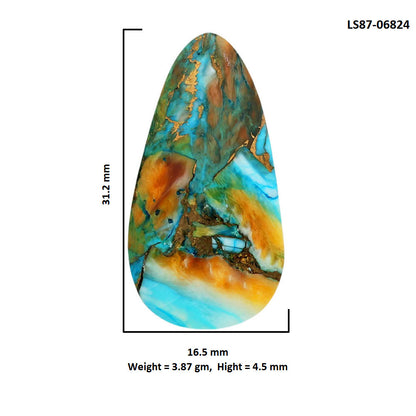 Spiny Oyster Turquoise 16.5x31.2x4.5 mm Fancy Shape Polished Gemstone LS87-06824