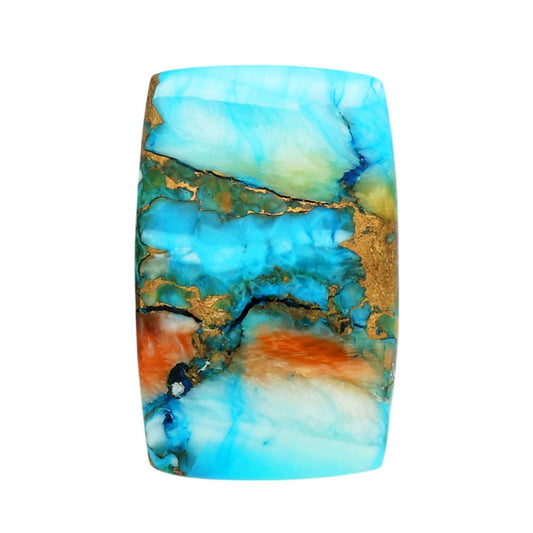 Spiny Oyster Turquoise 17x26.4x5 mm Cushion Shape Polished Gemstone LS87-06826