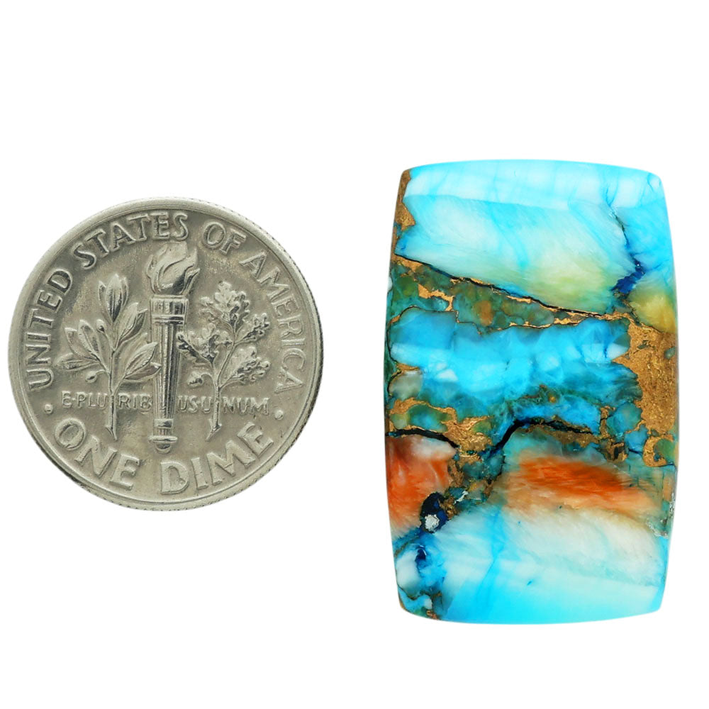 Spiny Oyster Turquoise 17x26.4x5 mm Cushion Shape Polished Gemstone LS87-06826