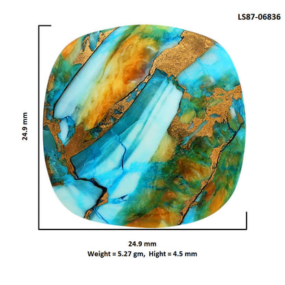 Spiny Oyster Turquoise 24.9x24.9x4.5 mm Cushion Shape Polished Gemstone LS87-06836