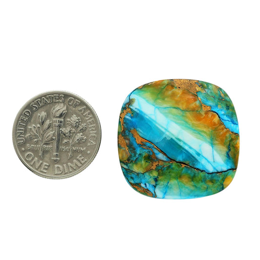 Spiny Oyster Turquoise 24.1x24.6x5.5 mm Cushion Shape Polished Gemstone LS87-06839