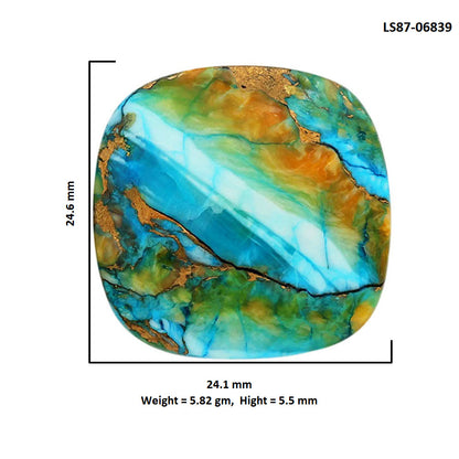 Spiny Oyster Turquoise 24.1x24.6x5.5 mm Cushion Shape Polished Gemstone LS87-06839