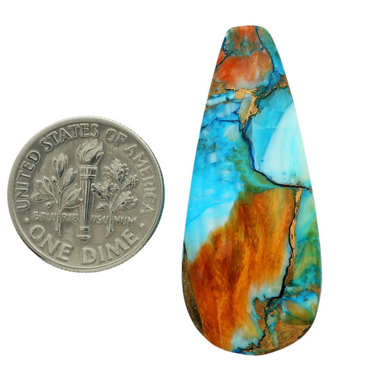 Spiny Oyster Turquoise 16x37.45x5 mm Fancy Shape Polished Gemstone LS87-06848