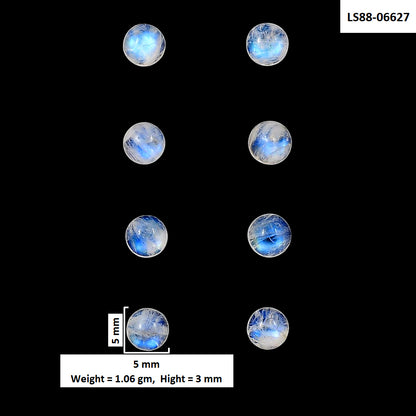 Rainbow Moonstone 10 Piece 5x5x3 mm Round Shape Polished Gemstone LS88-06627