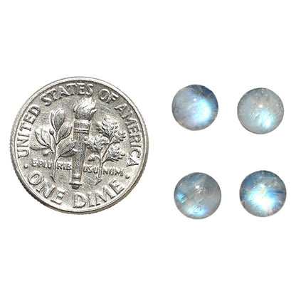 Natural Rainbow Moonstone 6x6x3.5 mm Round Shape Polished Gemstone Set of 4 LS88-09366