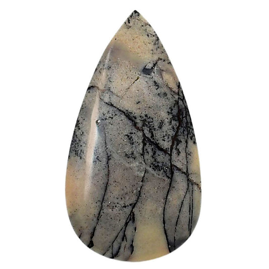 Porcelain Jasper 20x36.65x5.5 mm Pear Shape Polished Gemstone LS91-05724