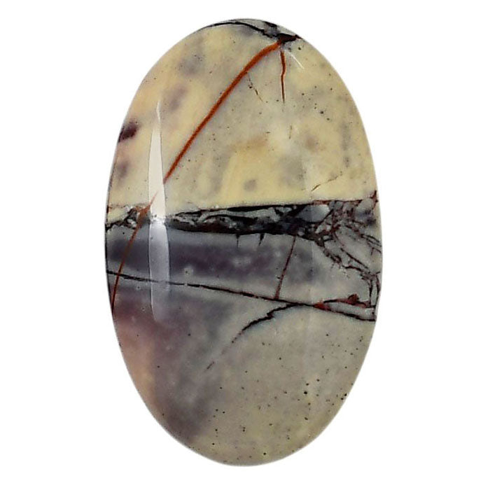 Porcelain Jasper 19.4x31.2x5 mm Oval Shape Polished Gemstone LS91-05727