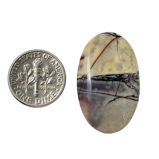 Porcelain Jasper 19.4x31.2x5 mm Oval Shape Polished Gemstone LS91-05727