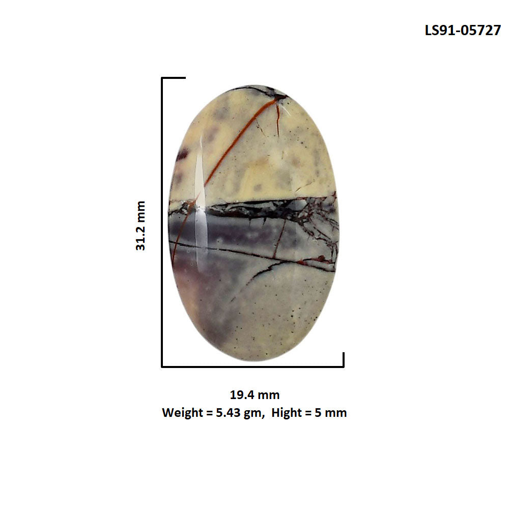 Porcelain Jasper 19.4x31.2x5 mm Oval Shape Polished Gemstone LS91-05727