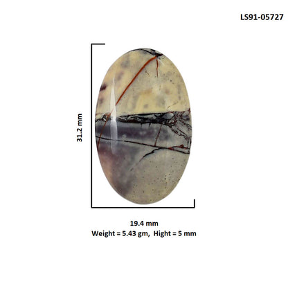 Porcelain Jasper 19.4x31.2x5 mm Oval Shape Polished Gemstone LS91-05727
