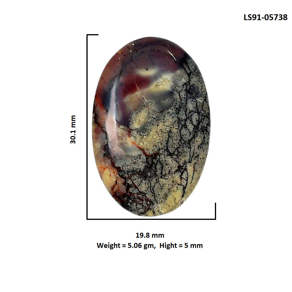 Porcelain Jasper 19.8x30.1x5 mm Oval Shape Polished Gemstone LS91-05738