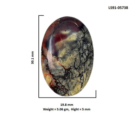 Porcelain Jasper 19.8x30.1x5 mm Oval Shape Polished Gemstone LS91-05738