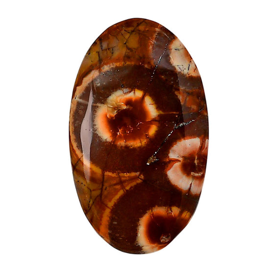 Mexican Bird Eye 23.3x39.1x6.4 mm Oval Shape Polished Gemstone LS92-05740