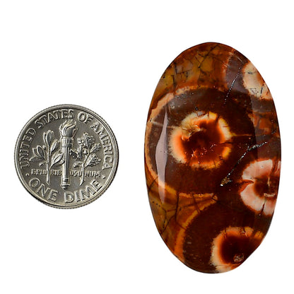 Mexican Bird Eye 23.3x39.1x6.4 mm Oval Shape Polished Gemstone LS92-05740