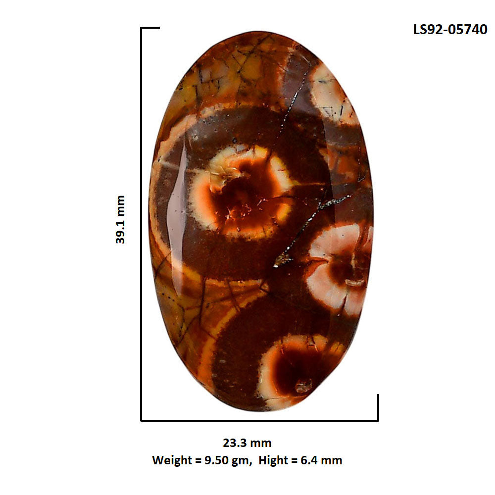 Mexican Bird Eye 23.3x39.1x6.4 mm Oval Shape Polished Gemstone LS92-05740