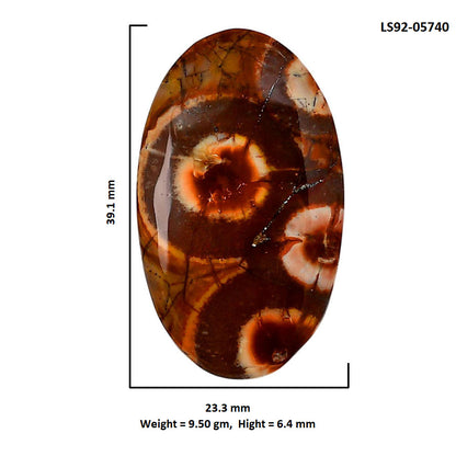 Mexican Bird Eye 23.3x39.1x6.4 mm Oval Shape Polished Gemstone LS92-05740