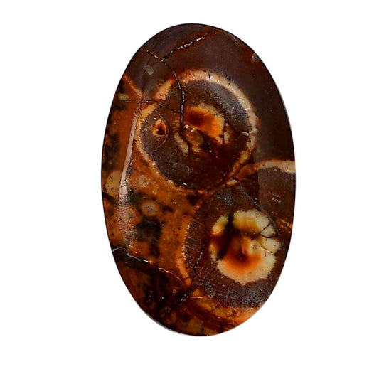 Mexican Bird Eye 33.75x21x5.5 mm Oval Shape Polished Gemstone LS92-05741