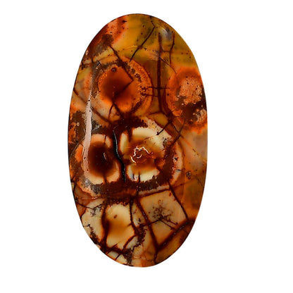 Mexican Bird Eye 22.75x41.2x5.8 mm Oval Shape Polished Gemstone LS92-05742