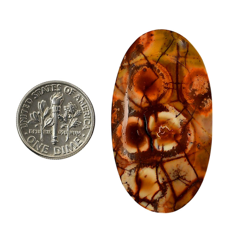 Mexican Bird Eye 22.75x41.2x5.8 mm Oval Shape Polished Gemstone LS92-05742