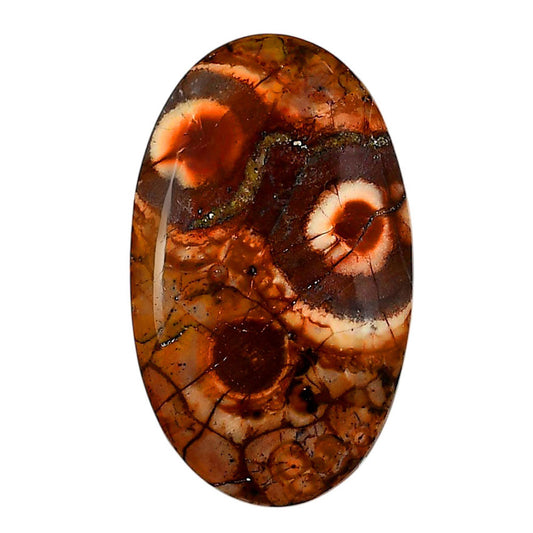 Mexican Bird Eye 24x40x6 mm Oval Shape Polished Gemstone LS92-05743