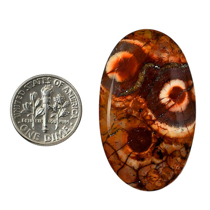 Mexican Bird Eye 24x40x6 mm Oval Shape Polished Gemstone LS92-05743