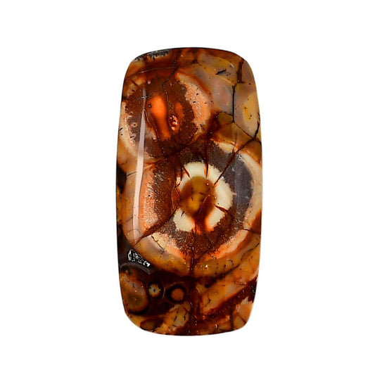 Mexican Bird Eye 17.8x35x6 mm Baguette Shape Polished Gemstone LS92-05744
