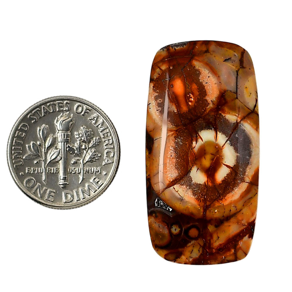 Mexican Bird Eye 17.8x35x6 mm Baguette Shape Polished Gemstone LS92-05744