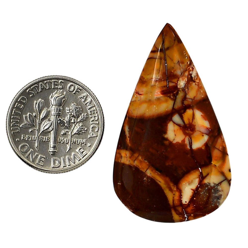 Mexican Bird Eye 21.35x36.2x6 mm Pear Shape Polished Gemstone LS92-05746